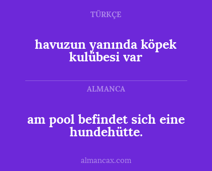 am pool befindet sich eine hundehütte. - havuzun yanında köpek kulübesi var