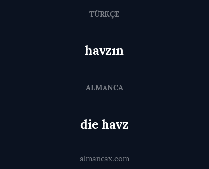 havzın - die havz
