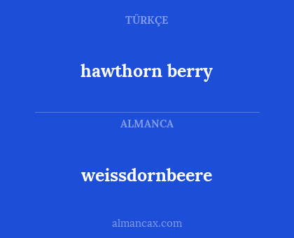 weissdornbeere - hawthorn berry