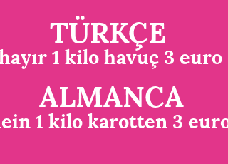 hay%C4%B1r+1+kilo+havu%C3%A7+3+euro-nein+1+kilo+karotten+3+euro.png