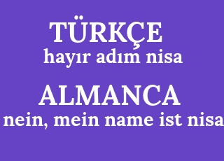 hay%C4%B1r+ad%C4%B1m+nisa-nein%2C+mein+name+ist+nisa.png