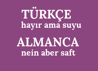 Nein. Китайская nein. 1:35 петли. Aber nein. Aber nein.