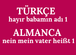 hay%C4%B1r+babam%C4%B1n+ad%C4%B1+1-nein+mein+vater+hei%C3%9Ft+1.png