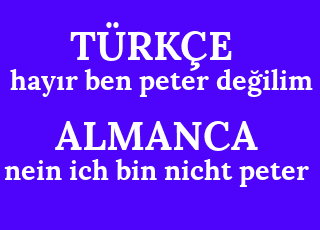 hay%C4%B1r+ben+peter+de%C4%9Filim-nein+ich+bin+nicht+peter.png