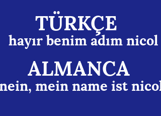 hay%C4%B1r+benim+ad%C4%B1m+nicol-nein%2C+mein+name+ist+nicol.png
