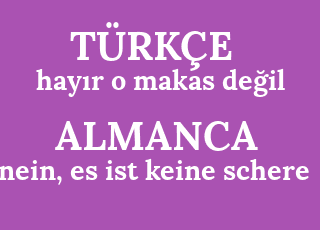 hay%C4%B1r+o+makas+de%C4%9Fil-nein%2C+es+ist+keine+schere.png