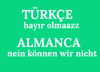 hay%C4%B1r+olmaazz-nein+k%C3%B6nnen+wir+nicht.png