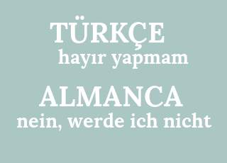 hay%C4%B1r+yapmam-nein%2C+werde+ich+nicht.png