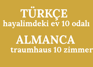 hayalimdeki+ev+10+odal%C4%B1-traumhaus+10+zimmer.png
