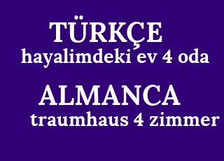 hayalimdeki+ev+4+oda-traumhaus+4+zimmer.png