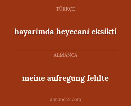 hayarimda heyecani eksikti - meine aufregung fehlte
