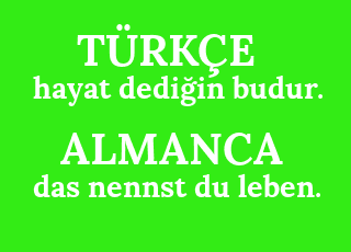 hayat+dedi%C4%9Fin+budur.-das+nennst+du+leben..png