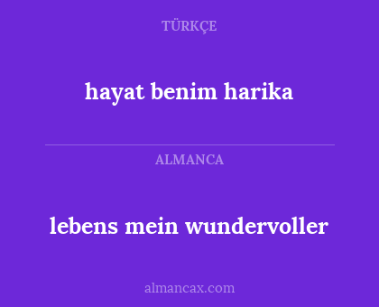 lebens mein wundervoller - hayat benim harika