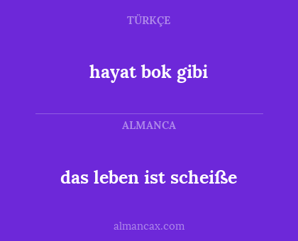 hayat bok gibi - das leben ist scheiße