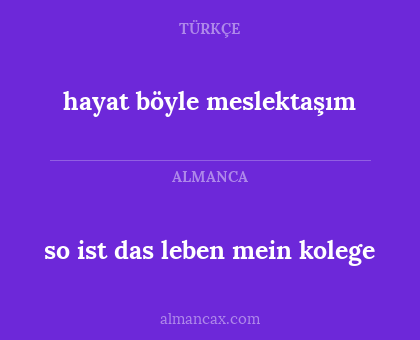 so ist das leben mein kolege - hayat böyle meslektaşım