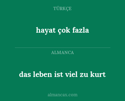 das leben ist viel zu kurt - hayat çok fazla
