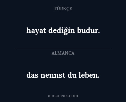das nennst du leben. - hayat dediğin budur.