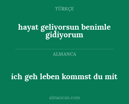 hayat geliyorsun benimle gidiyorum - ich geh leben kommst du mit