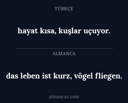 hayat kısa, kuşlar uçuyor. - das leben ist kurz, vögel fliegen.