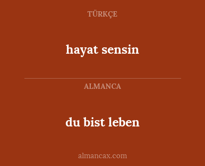 hayat sensin - du bist leben