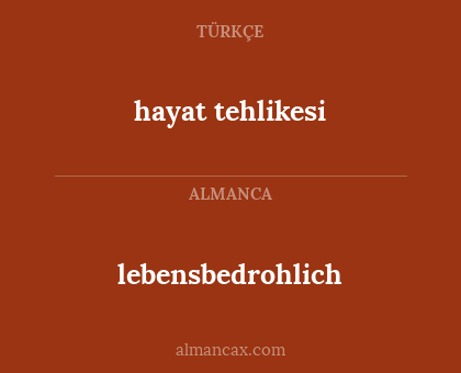 lebensbedrohlich - hayat tehlikesi