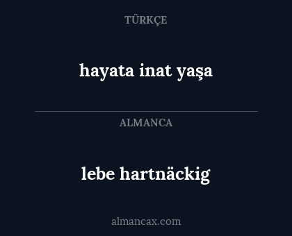 lebe hartnäckig - hayata inat yaşa