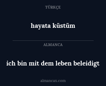 ich bin mit dem leben beleidigt - hayata küstüm