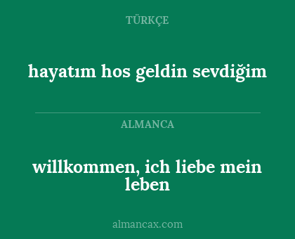 willkommen, ich liebe mein leben - hayatım hos geldin sevdiğim
