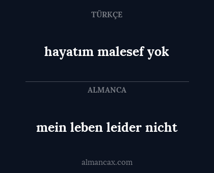 hayatım malesef yok - mein leben leider nicht