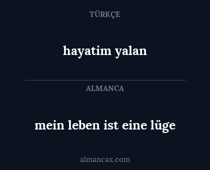 mein leben ist eine lüge - hayatim yalan