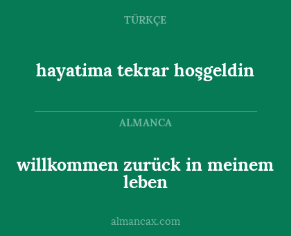 willkommen zurück in meinem leben - hayatima tekrar hoşgeldin