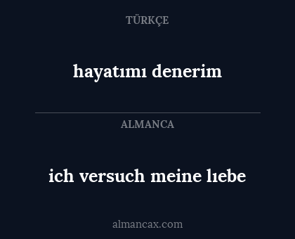 ich versuch meine lıebe - hayatımı denerim