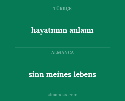 sinn meines lebens - hayatımın anlamı