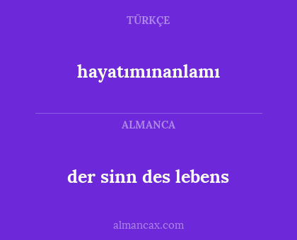 der sinn des lebens - hayatımınanlamı