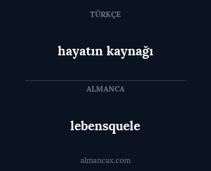 hayatın kaynağı - lebensquele