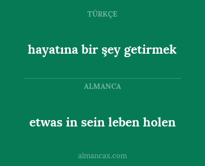hayatına bir şey getirmek - etwas in sein leben holen