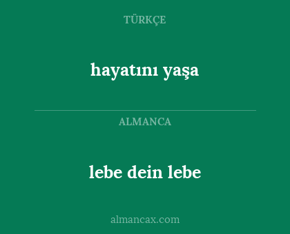 lebe dein lebe - hayatını yaşa