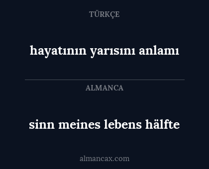 sinn meines lebens hälfte - hayatının yarısını anlamı
