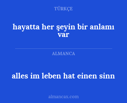 hayatta her şeyin bir anlamı var - alles im leben hat einen sinn