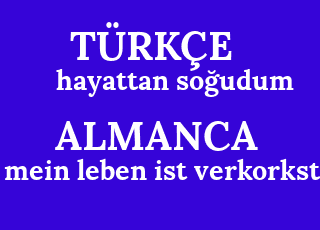 hayattan+so%C4%9Fudum-mein+leben+ist+verkorkst.png