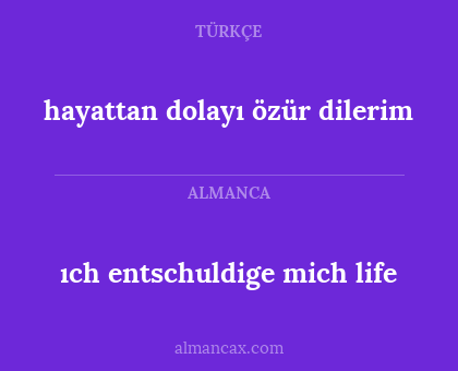 hayattan dolayı özür dilerim - ıch entschuldige mich life