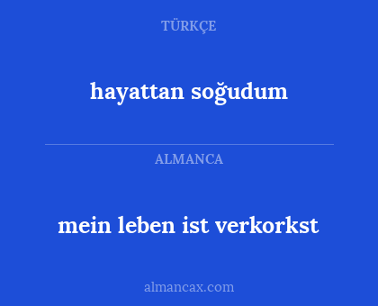 mein leben ist verkorkst - hayattan soğudum