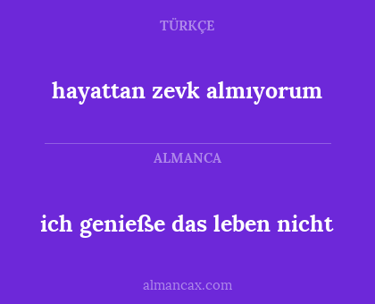 hayattan zevk almıyorum - ich genieße das leben nicht