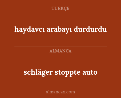 schläger stoppte auto - haydavcı arabayı durdurdu