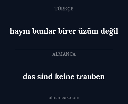 das sind keine trauben - hayın bunlar birer üzüm değil
