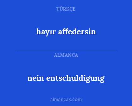 nein entschuldigung - hayır affedersin
