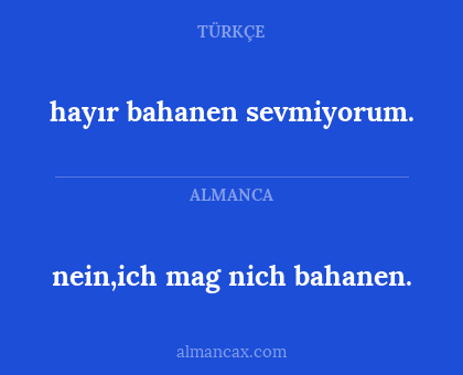 nein,ich mag nich bahanen. - hayır bahanen sevmiyorum.