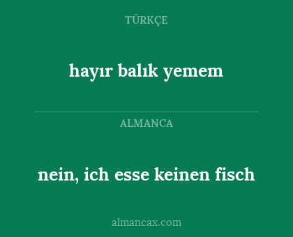 nein, ich esse keinen fisch - hayır balık yemem
