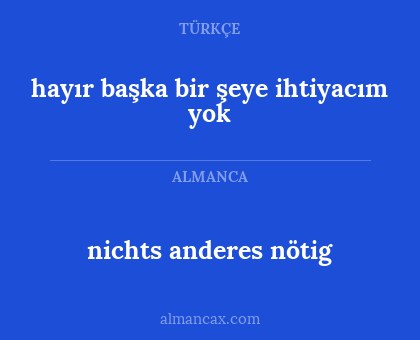 hayır başka bir şeye ihtiyacım yok - nichts anderes nötig