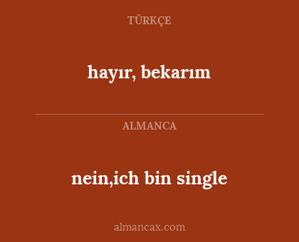 nein,ich bin single - hayır, bekarım